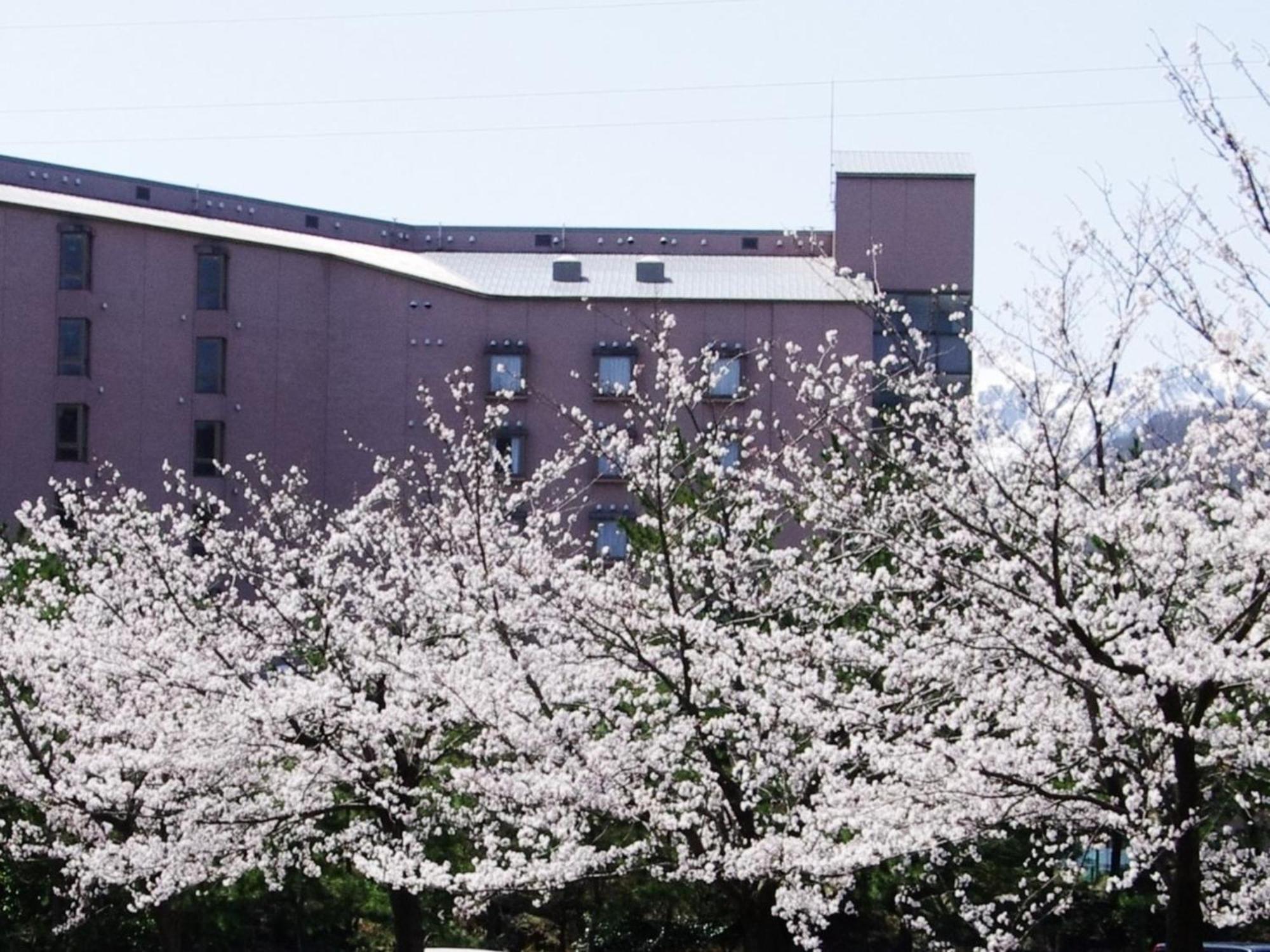 Hotel Kunitomi Annex - Vacation Stay 12072V Itoigawa Exterior photo